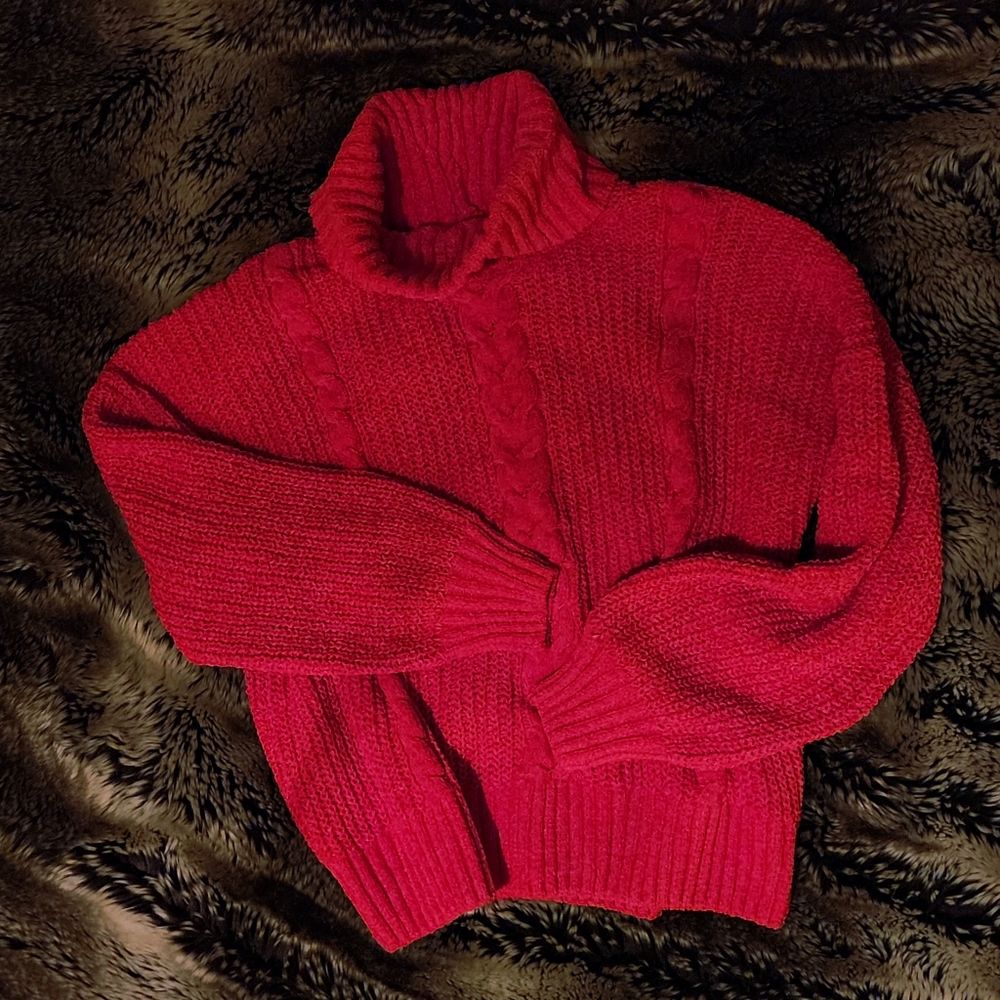 Cozy Red Turtleneck Sweater